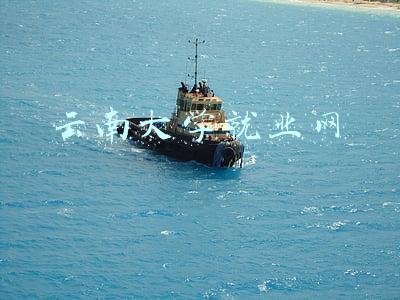 云南大学生就业信息网官网(去哪儿找工作？可以上“云南省求职服务平台”试试)