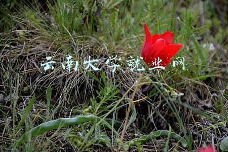 云南大学生就业服务网(就业好消息！昆明高校2022届毕业生线上招聘将举行)