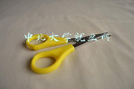 中北大学就业信息网(寒假期间中北大学就业工作不打烊)