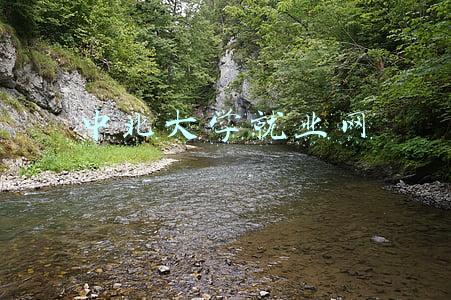 中北大学信息商务学院就业信息网(中北大学信息商务学院2016招聘艺术系外聘教师)