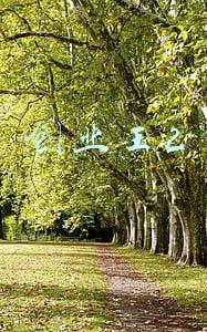 创业王2手机版(从《叛逆者》到《赘婿》，新丽传媒的守正与创新)