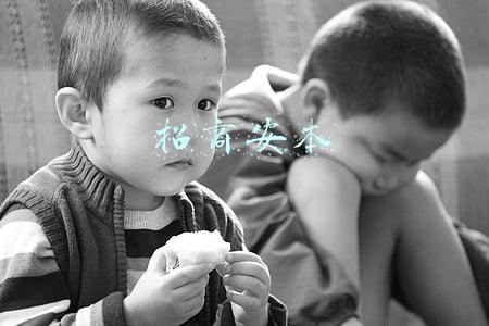 招商安本