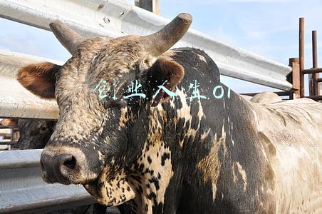 创业人生ooc是什么意思(新消费行业专题分析报告：2022，“新消费”重构再出发)