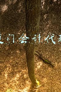 厦门会计代理公司排行(厦门银行背后的台湾富邦蔡家)
