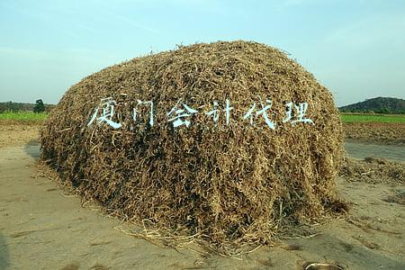 厦门会计代理机构备案(厦门市新建商品房买卖合同备案可全程网办)