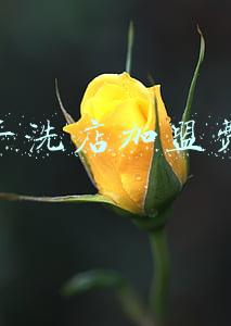 泰洁干洗设备 泰洁干洗设备价格