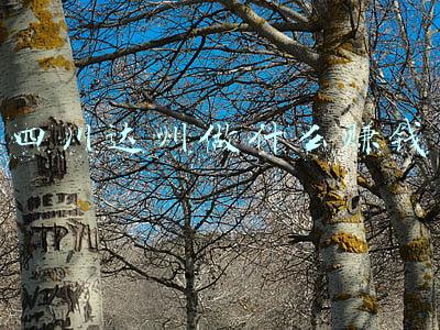 四川达州人有钱吗(热点 | 这个达州人真有钱 豪掷2.5亿元买下成都路桥3700万股)