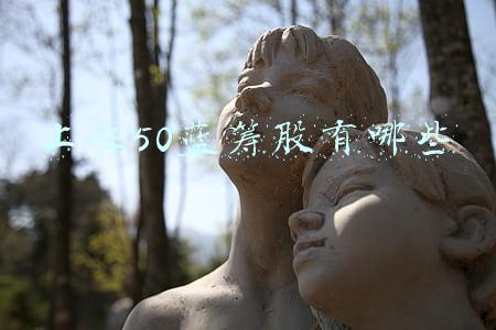 上证50 蓝筹(A股指数分化上证50指涨超1% 中报行情接近尾声蓝筹权重走强)