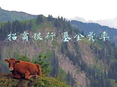 招商银行 基金费率