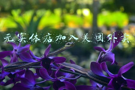 没有实体店能加入美团吗(第一次为跑美团外卖做准备，一点经验也没有，既紧张又激动)