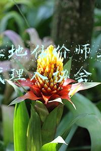 中国土地估价师与土地登记代理人协会
