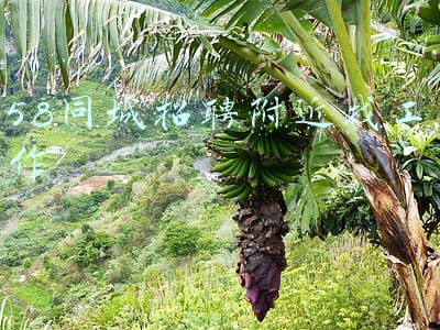 58同城招聘附近找工作保洁(垃圾分类催生新职业 58同城现“垃圾分类保洁员”等职位)
