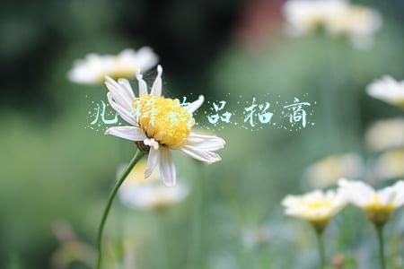 儿科新药特药招商(6岁以上的儿童及青少年中重度特应性皮炎治疗新药将亮相进博会)