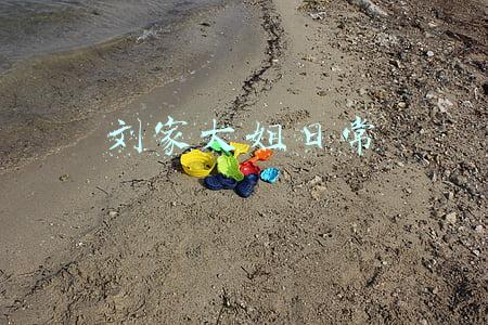刘家大姐日常