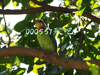 000551股吧