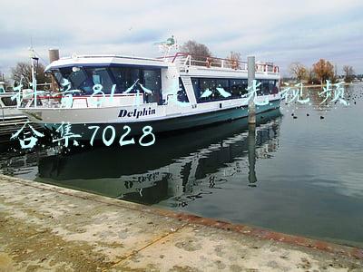 抖音81个走八光视频合集7028