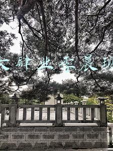 非你莫属北大李晨现状(15岁考上北大，20岁6亿现金一把梭哈，求职却遭“网红”戏弄！)