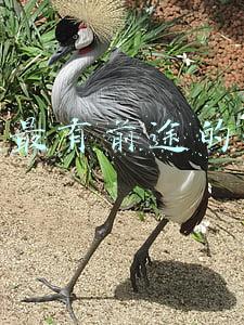 中国最有发展前景的十大行业有哪些(2021年表现最好和最差的十个行业)