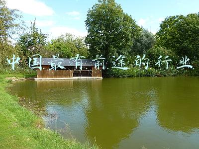中国最有潜力的行业(中国股市：比黄金还要稀缺的潜力企业，就是这5家优秀的行业龙头)