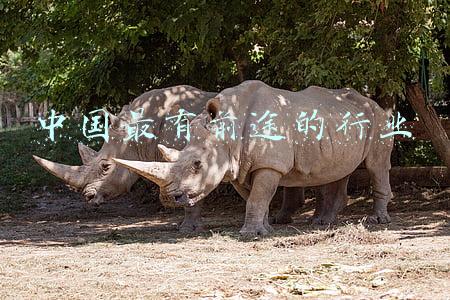 中国最有前途十大城市(2022年，最有前景的8个城市有哪些？丨南财号荐读)