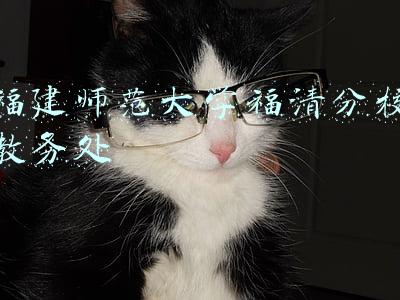福建师范大学福清分校教务处电话(任前公示！郑作武等17位同志拟提任为初级中学正校级领导)