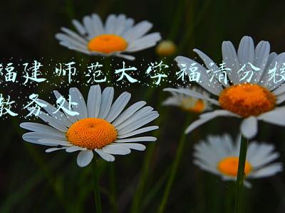 福建师范大学分校(福建师范大学仓山校区规划调整公示：取消外事办，新建幼儿园)