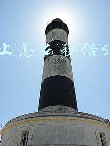 网上怎么秒借5000块
