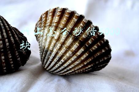 网上怎么秒借5000块