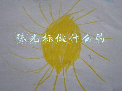 陈光标做什么的