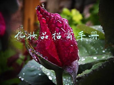 化妆品招商方案范本(《连锁干货》：化妆品连锁加盟品牌如何成功的招商)