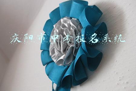 庆阳市中考报名系统