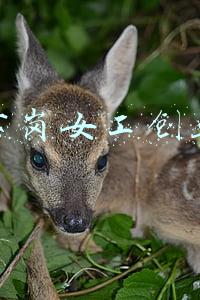 下岗职工创业项目(山西小城一名下岗职工的人生逆袭：“弹棉花”弹出千万身家)