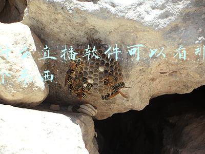 什么软件可以算东西(造价计算不只有广联达！这2款造价自动计算软件，也不比广联达差)