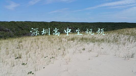 深圳高中生视频
