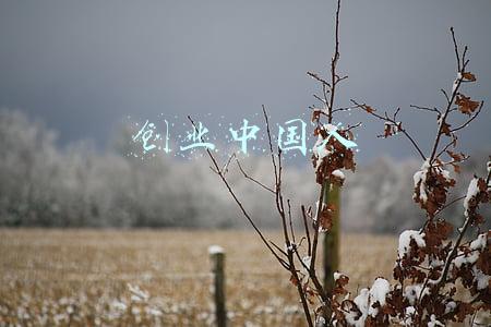 创业中国人