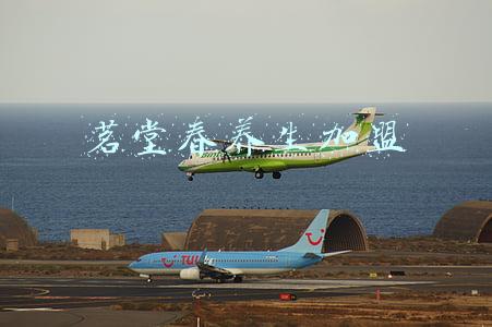 养生堂代理免费加盟(大健康产业开始之际 我做康络益生堂养生加盟)