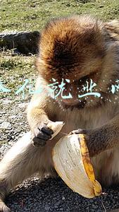 奉化就业网