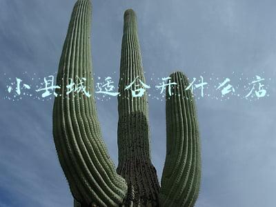 小县城适合开什么店