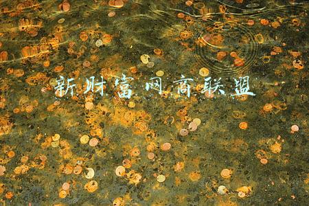 新财富网商联盟