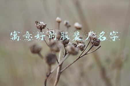 寓意好的服装厂名字