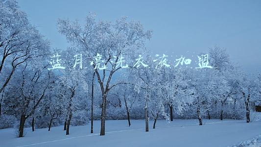 蓝月亮洗衣液加盟