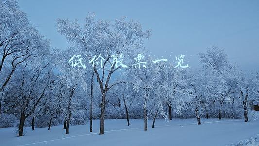 低价股票一览4元以上(中国股市：2022年，十大具有“爆发潜力的”6元低价股名单！收藏)