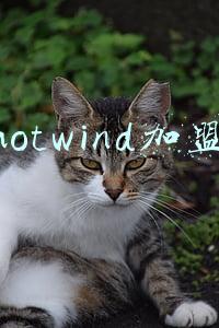 热风hotwind加盟(潮流快时尚品牌hotwind热风成功签约 潮牌入驻纪录再次刷新)