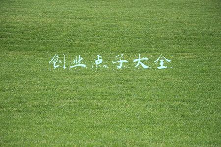 创业点子大全