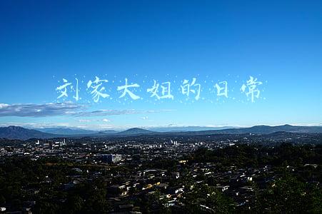 刘家大姐的日常