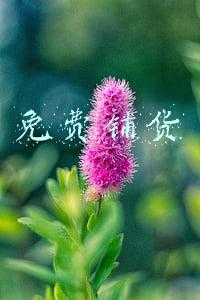 免费铺货