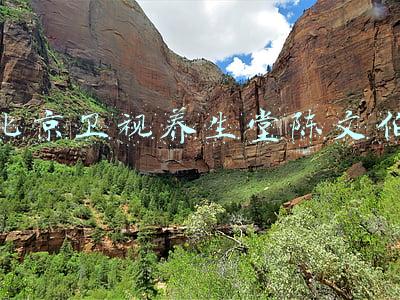 北京卫视养生堂陈文伯