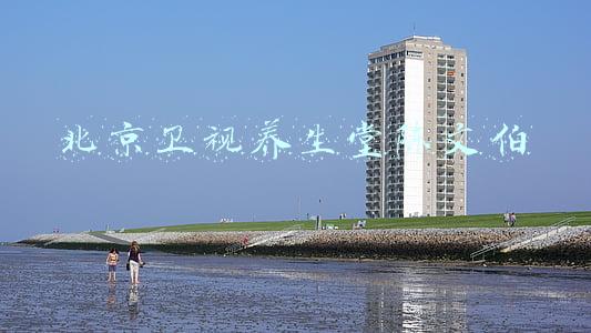 北京卫视养生堂陈文伯