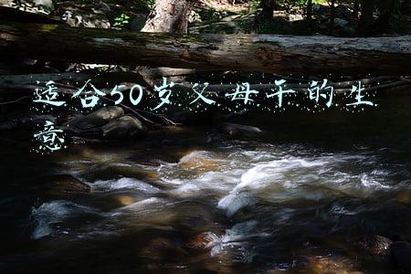 适合50岁父母干的生意