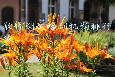软件测试培训机构排行榜